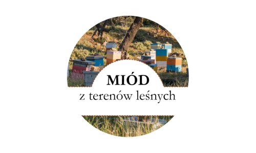 Miód z terenów leśnych