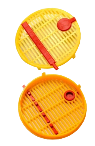 Kołpak - wychów, poddawanie i izolacja matki