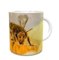 Kubek z Pszczołą