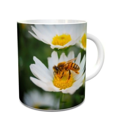 Kubek z Pszczołą