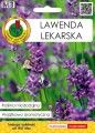 Lawenda Lekarska