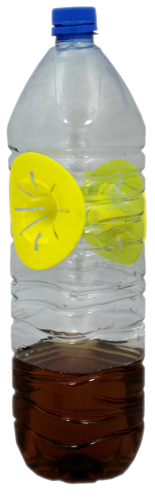 Pułapka na osy na butelkę