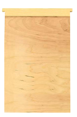 Przegroda Warszawska zwykła