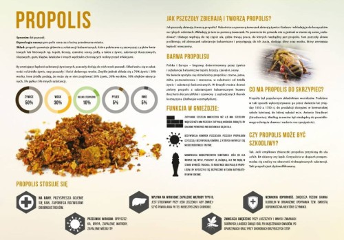 Tablica Propolis