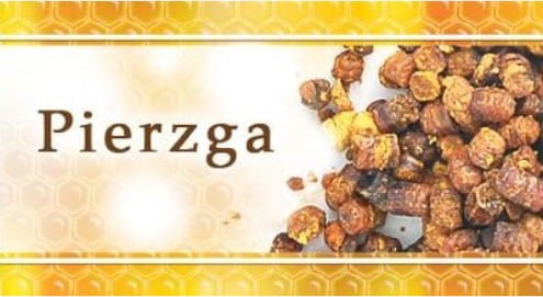 pierzga