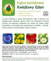 Łąka KWIATOWY EDEN