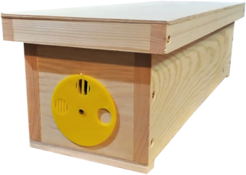 Ulik weselny 3 x 1/2 wielkopolska