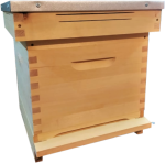 Ul wielkopolski - 10 ramkowy bezwręgowy 