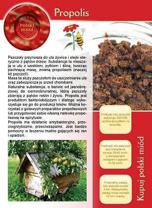 Broszura - Propolis