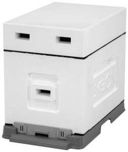 Ul 6 ramkowy Wielkopolski do wychowu pakietów - niemalowany z wręgą 