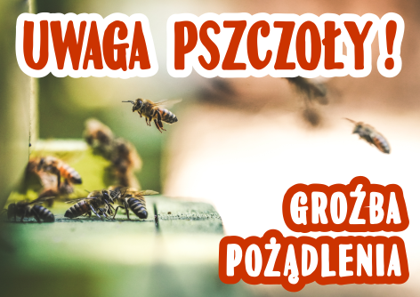 Uwaga pszczoły - groźba pożądlenia