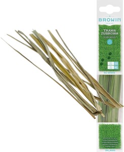 Trawa żubrówka na 4L - Turówka wonna