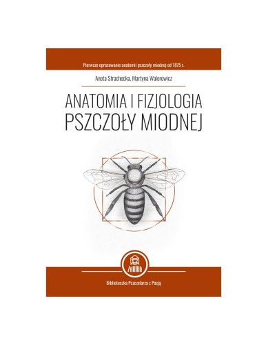 Anatomia i fizjologia pszczoly miodnej aneta strachecka martyna walerowicz