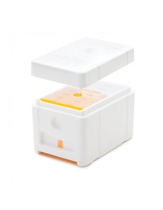 ULIK WESELNY  ApiTek