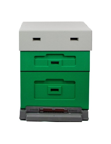 ul wielkopolski optima malowany ciemny zielony