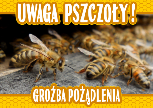 Uwaga pszczoły - groźba pożądlenia