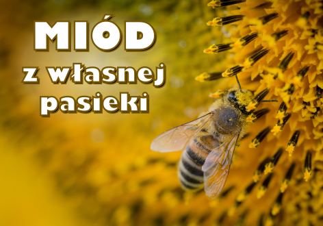Miód z własnej pasieki