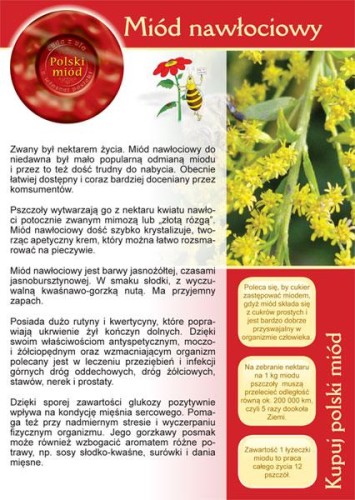 Broszura - Miód nawłociowy