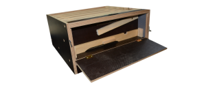 Dennica wysoka 12 R wielkopolska