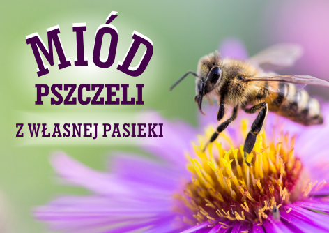 Miód pszczeli z własnej pasieki
