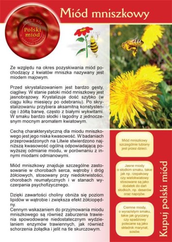 Broszura - Miód mniszkowy